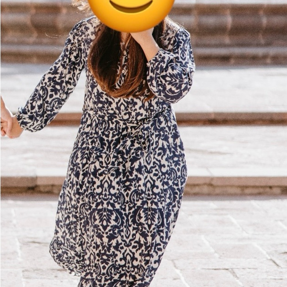 Zara maxi dress